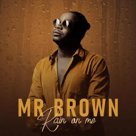 Mr Brown – Down down cover