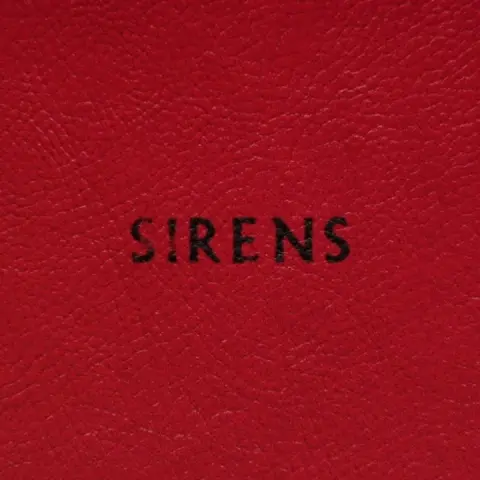 Imagine Dragons – Sirens cover