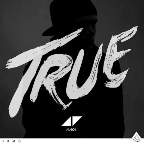Avicii – Wake Me Up cover
