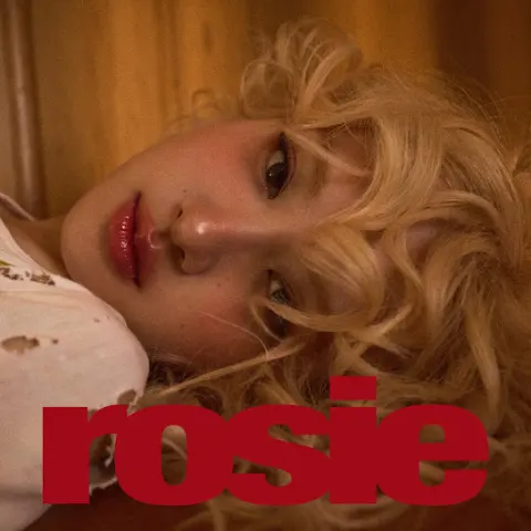 ROSÉ – drinks or coffee cover