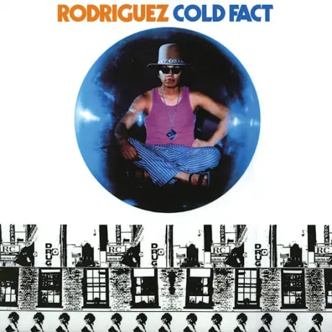 Rodriguez – Sugar Man cover