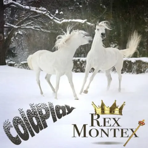 Rex Montex – ColdPlay cover