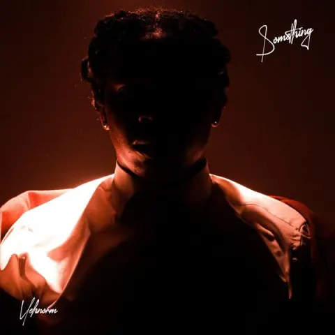 Vehnorm – Something cover