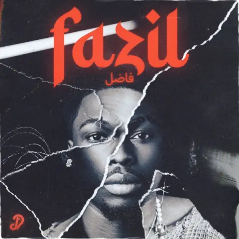 Fazil – Palava cover