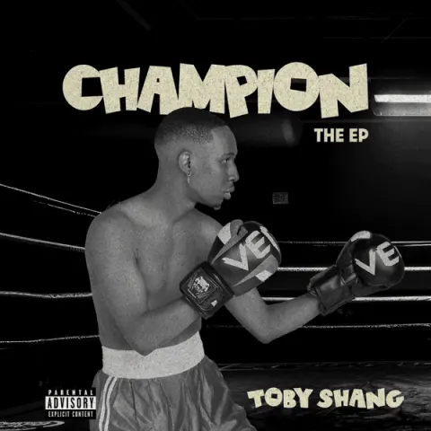 Toby Shang – Like That cover