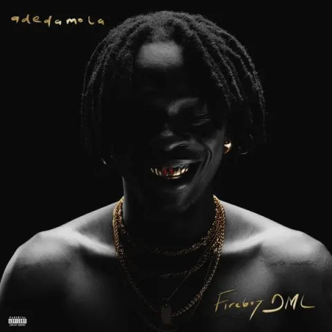 Fireboy DML – hell and back cover