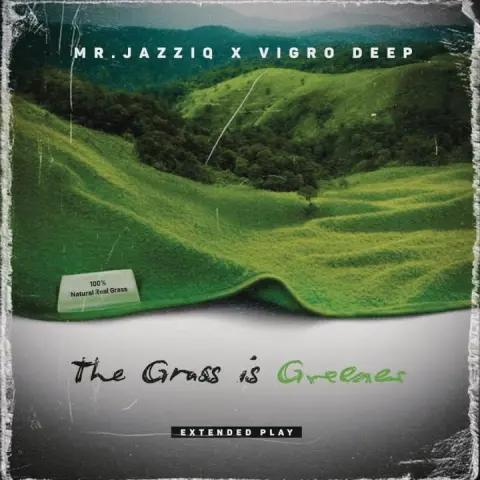 Mr JazziQ x Vigro Deep – Fede cover